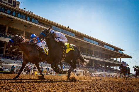 Del Mar Racetrack Picks, Entries, Race Schedule, .